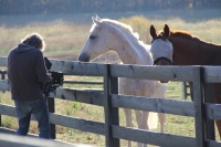 Production Still from Templeton Thompson"Get That Pony Rode" Music Video Shoot© 2012 Jen Stamps