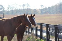 Production Still from Templeton Thompson"Get That Pony Rode" Music Video Shoot© 2012 Jen Stamps