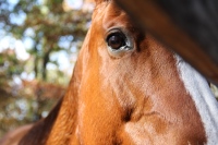 Production Still from Templeton Thompson"Get That Pony Rode" Music Video Shoot© 2012 Jen Stamps