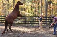 Production Still from Templeton Thompson"Get That Pony Rode" Music Video Shoot© 2012 Jen Stamps
