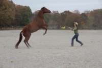 Production Still from Templeton Thompson"Get That Pony Rode" Music Video Shoot ©2012 Jen Stamps
