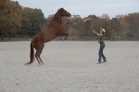 Production Still from Templeton Thompson"Get That Pony Rode" Music Video Shoot ©2012 Jen Stamps