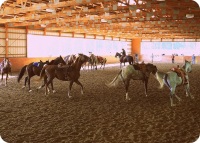 Walkertown, NC -  Production Stills 7 Clinics with Buck Brannaman