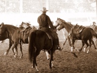Walkertown, NC -  Production Stills 7 Clinics with Buck Brannaman