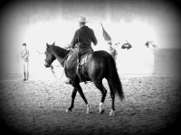 Walkertown, NC -  Production Stills 7 Clinics with Buck Brannaman