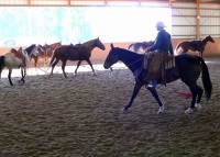 Walkertown, NC -  Production Stills 7 Clinics with Buck Brannaman