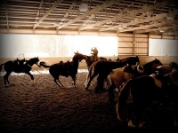 Walkertown, NC -  Production Stills 7 Clinics with Buck Brannaman