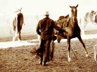 Walkertown, NC -  Production Stills 7 Clinics with Buck Brannaman