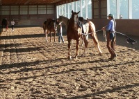 Walkertown, NC -  Production Stills 7 Clinics with Buck Brannaman