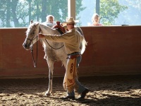 Walkertown, NC -  Production Stills 7 Clinics with Buck Brannaman
