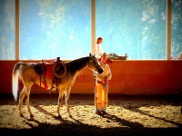 Walkertown, NC -  Production Stills 7 Clinics with Buck Brannaman